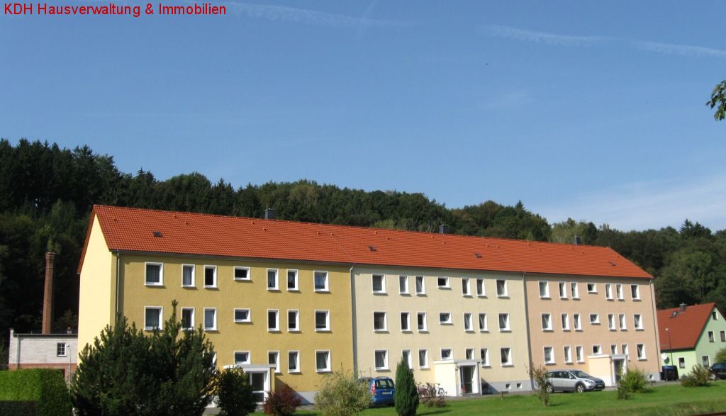 Singlewohnung in gepflegtem Mehrfamilienhaus Singlewohnung in gepflegtem Mehrfamilienhaus